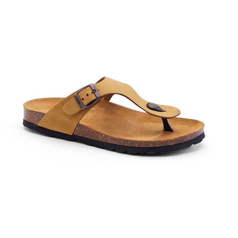 Safari.brown