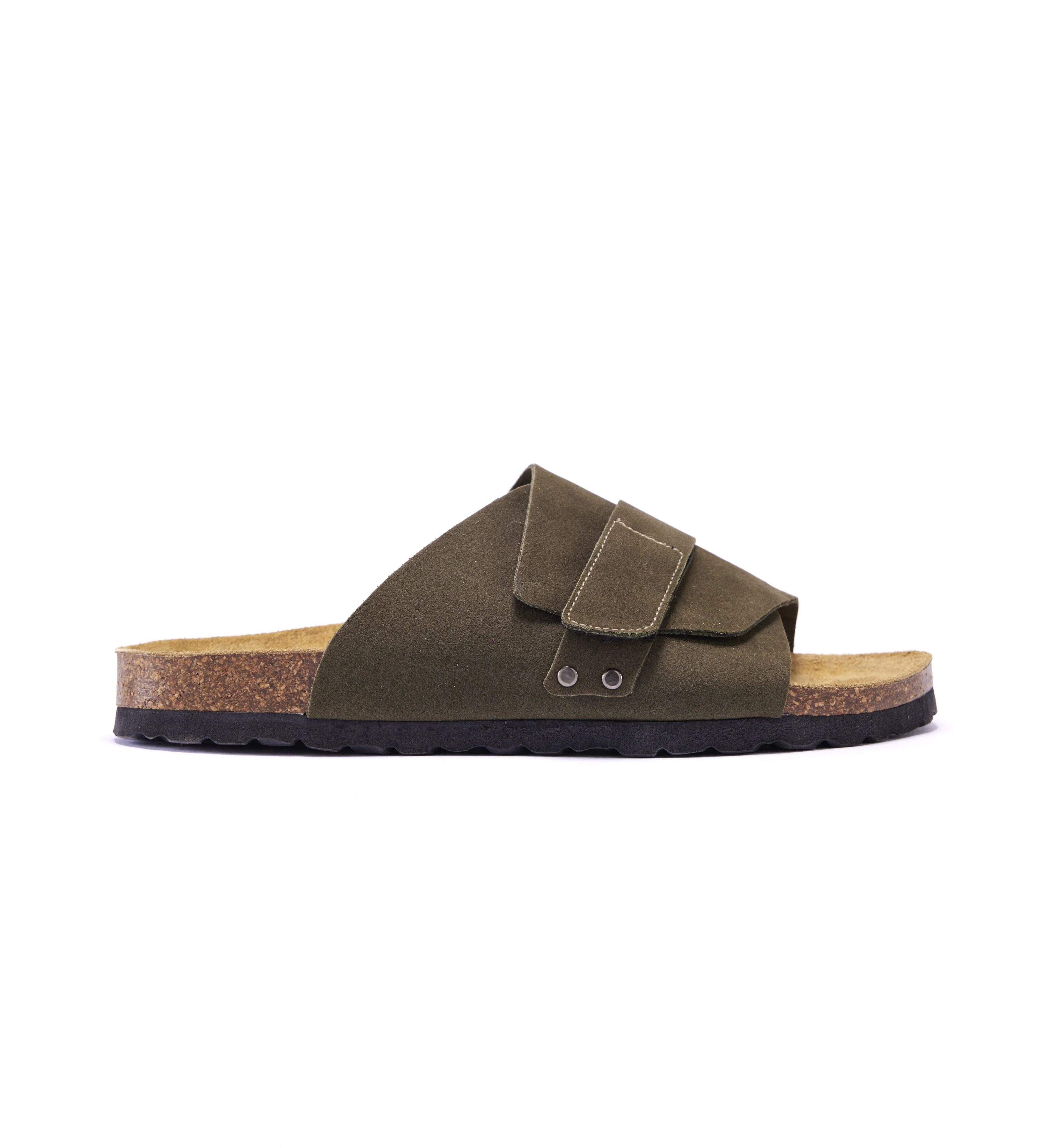L-OLIVE